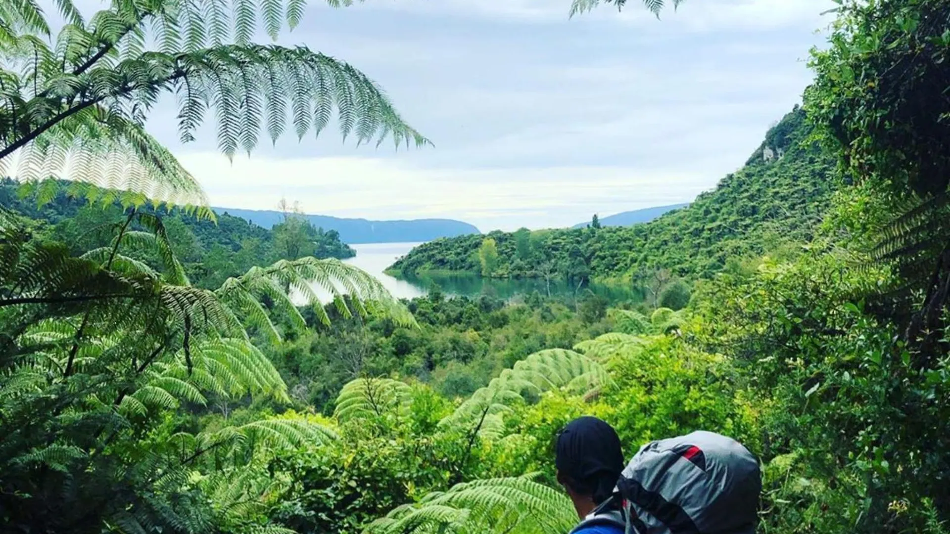 Rotorua Thermal Holiday Park 4*,  Nya Zeeland