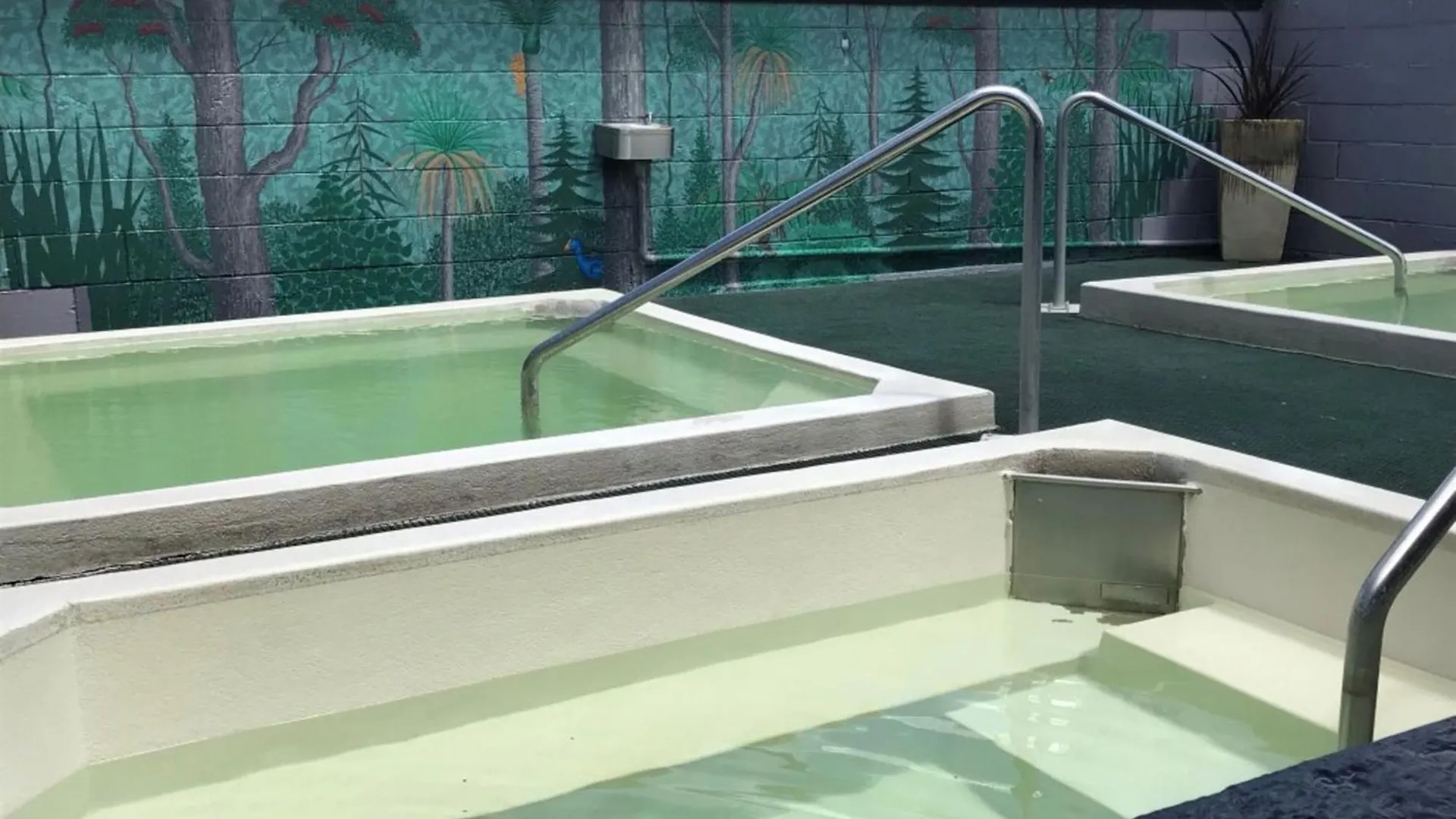 Rotorua Thermal Holiday Park