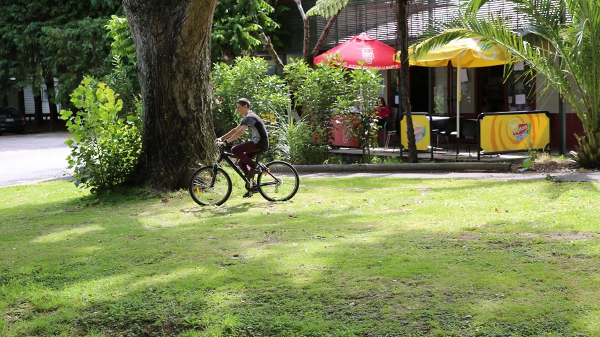 ****  Rotorua Thermal Holiday Park Nya Zeeland