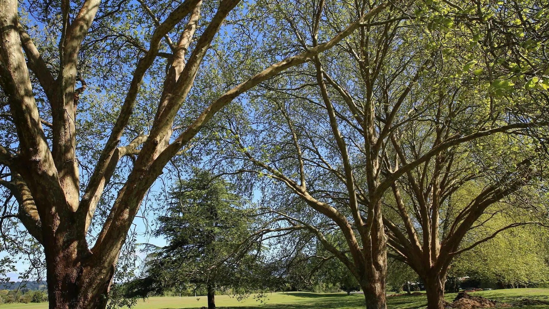 Rotorua Thermal Holiday Park Nya Zeeland